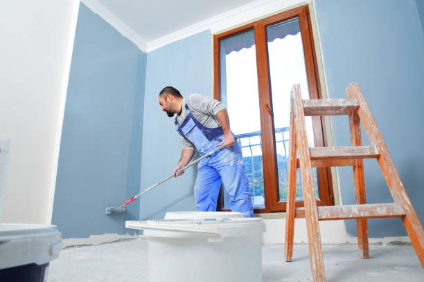 St John, MO Mold Removal Company