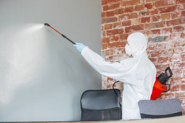 Best Crawl Space Mold Remediation  in St John, MO