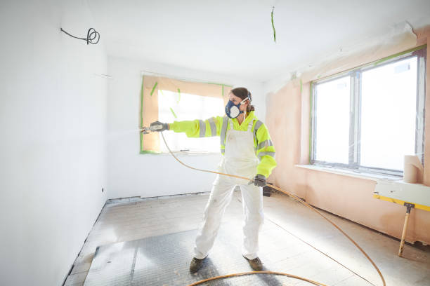 Best Post-Construction Mold Inspection  in St John, MO